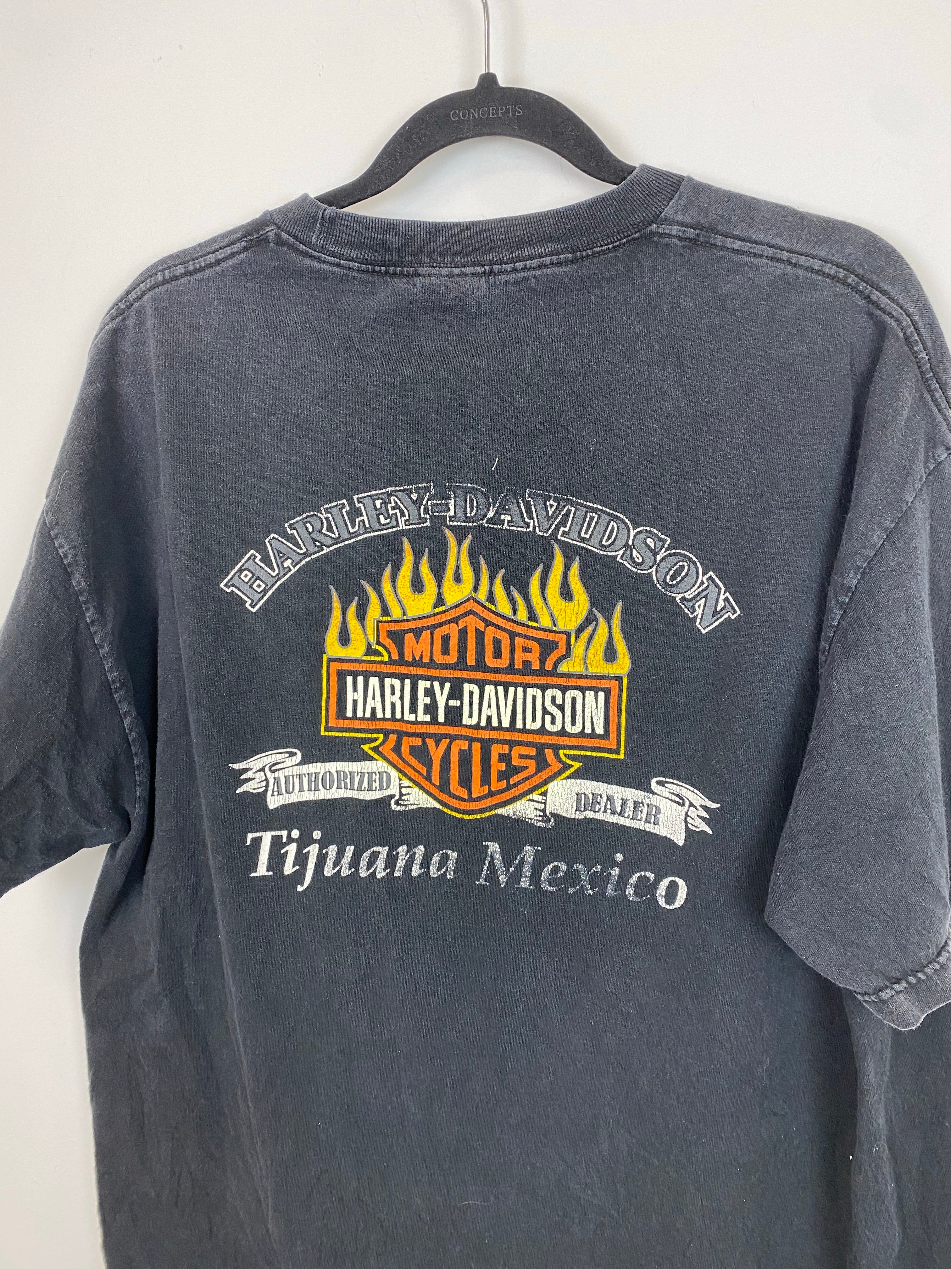 Vintage Faded Front and Back Harley Davison T Shirt - L