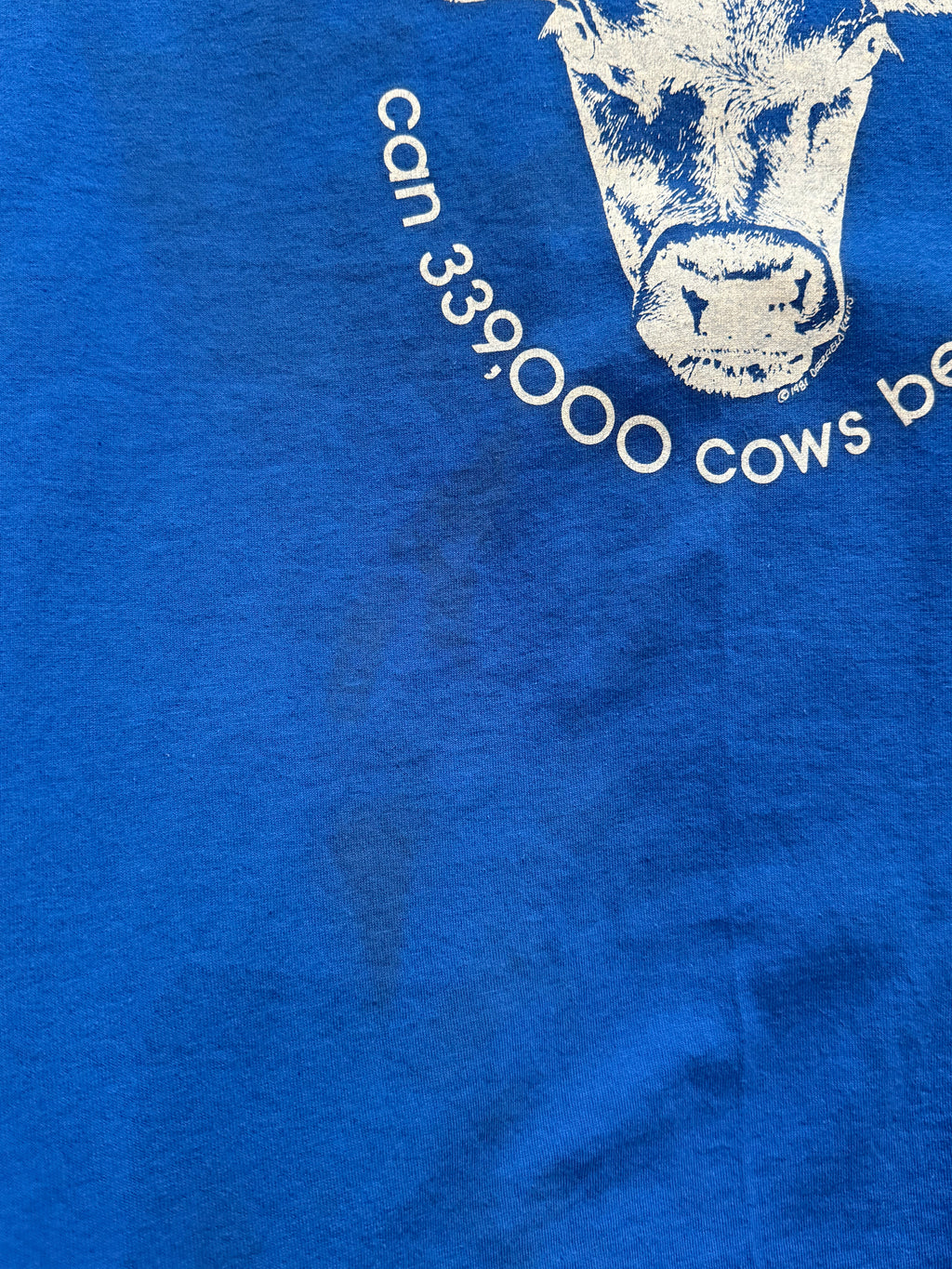 Vintage Vermont Shirt