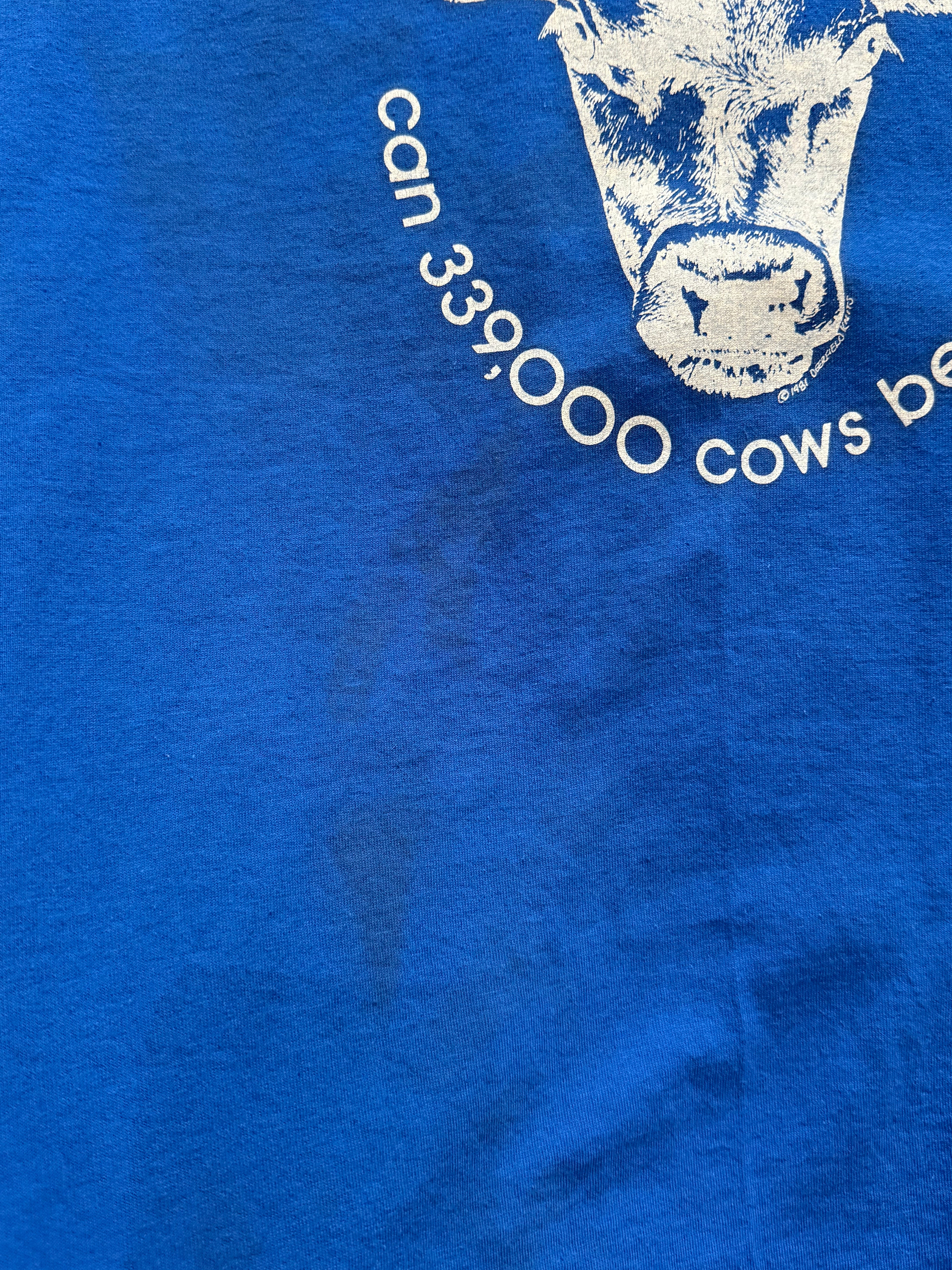 Vintage Vermont Shirt