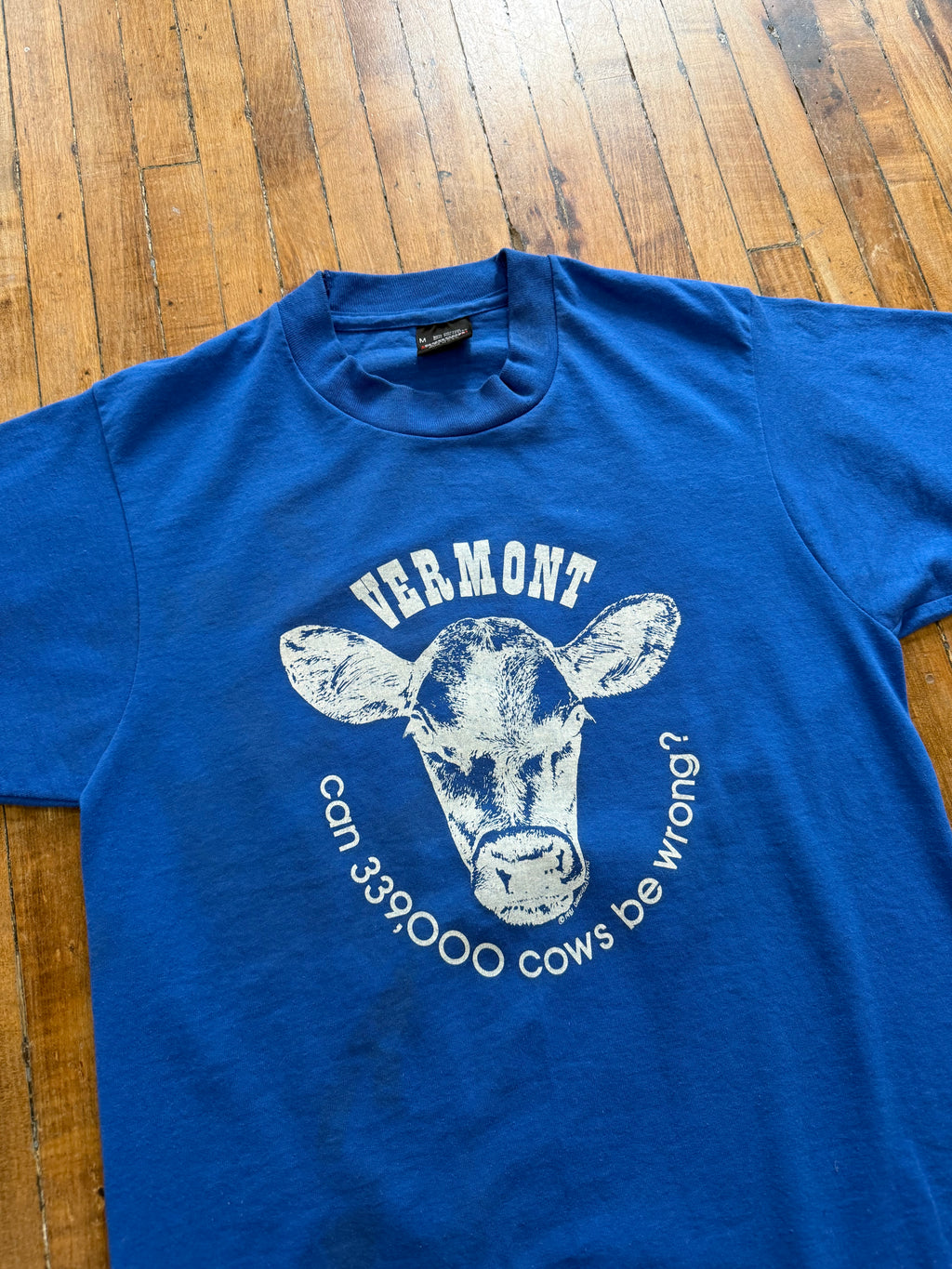 Vintage Vermont Shirt