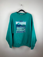 Load image into Gallery viewer, Heavy weight Washington crewneck
