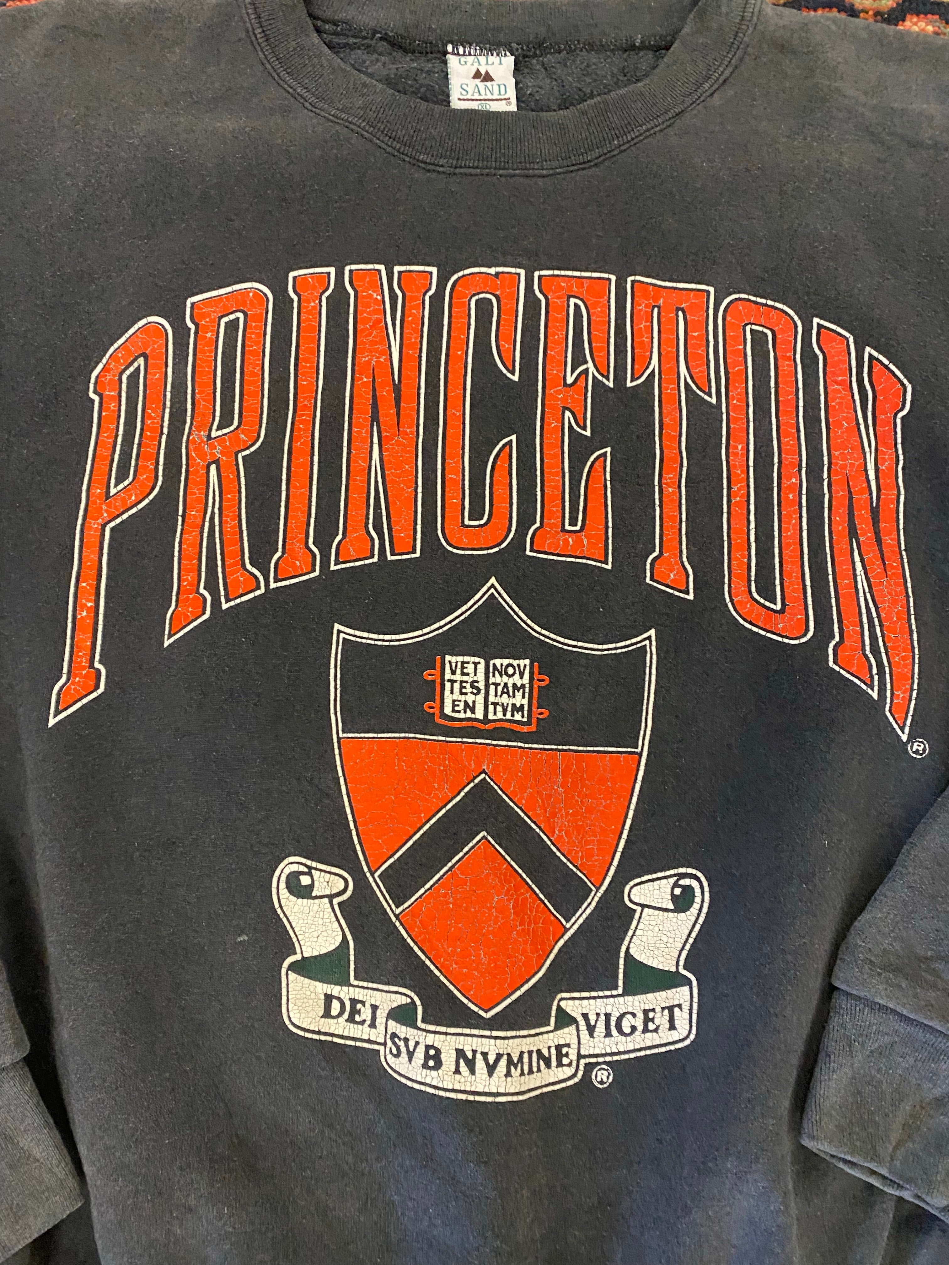Vintage Princeton Varsity Crewneck - L