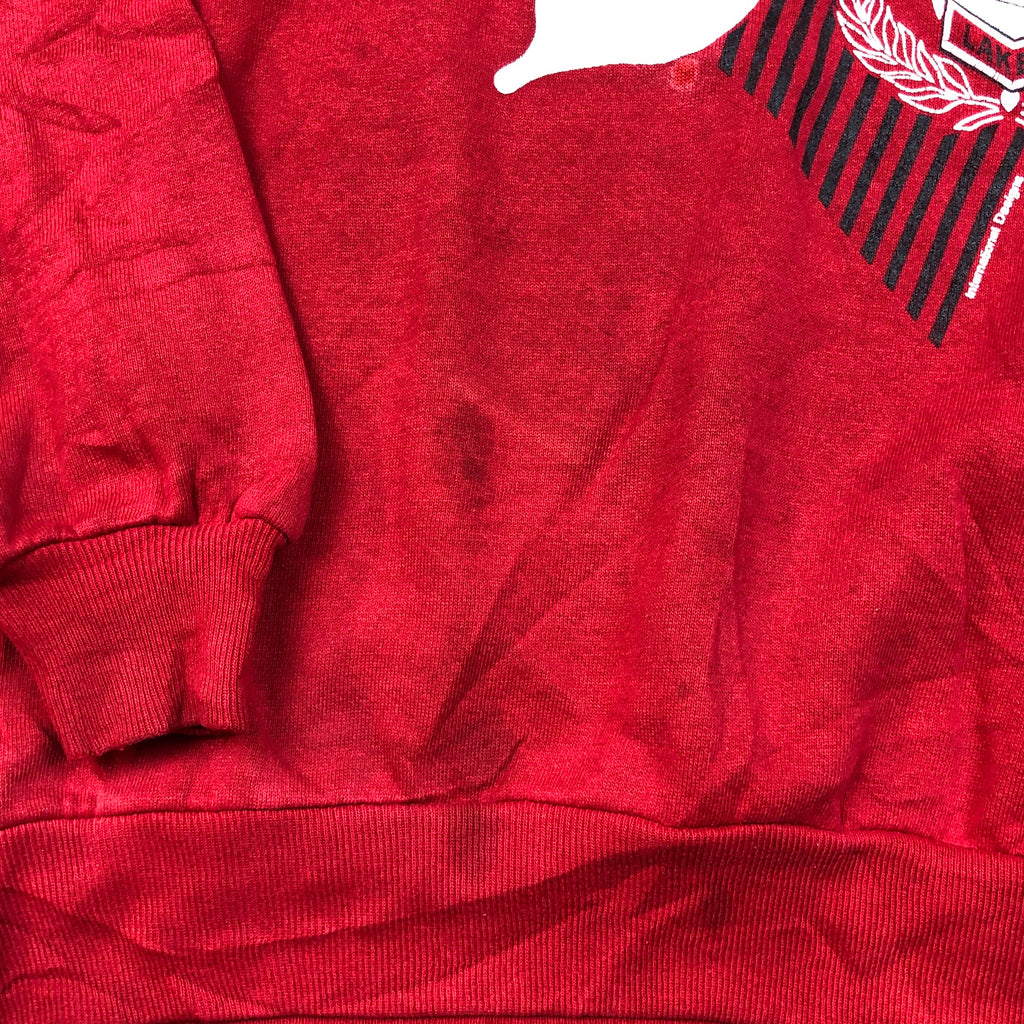 Vintage Detroit Lakes Lakers Crewneck - L