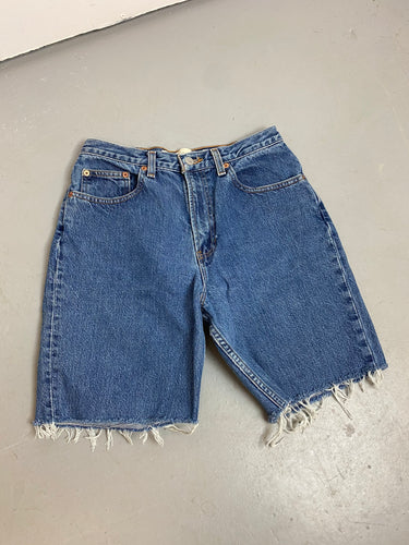 90s Frayed High Waisted Gap World Denim Shorts - 28in