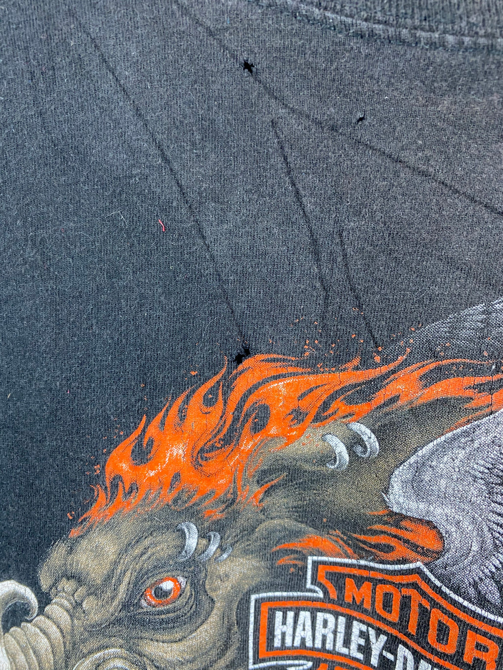 Harley Davidson t shirt