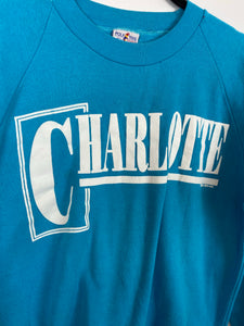 90s baby blue Charlotte crewneck