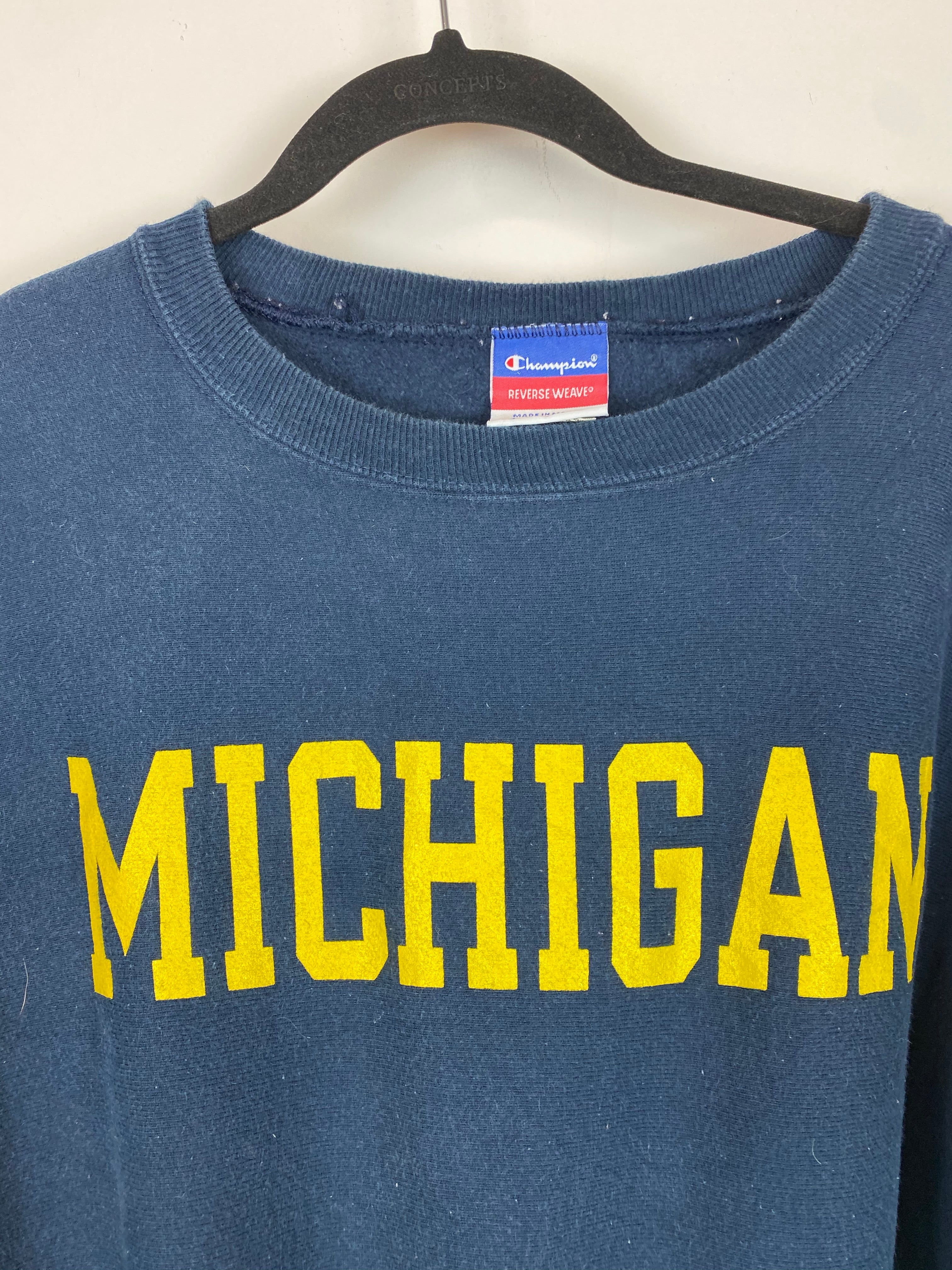 Vintage Reverse Weave Champion Michigan crewneck - L