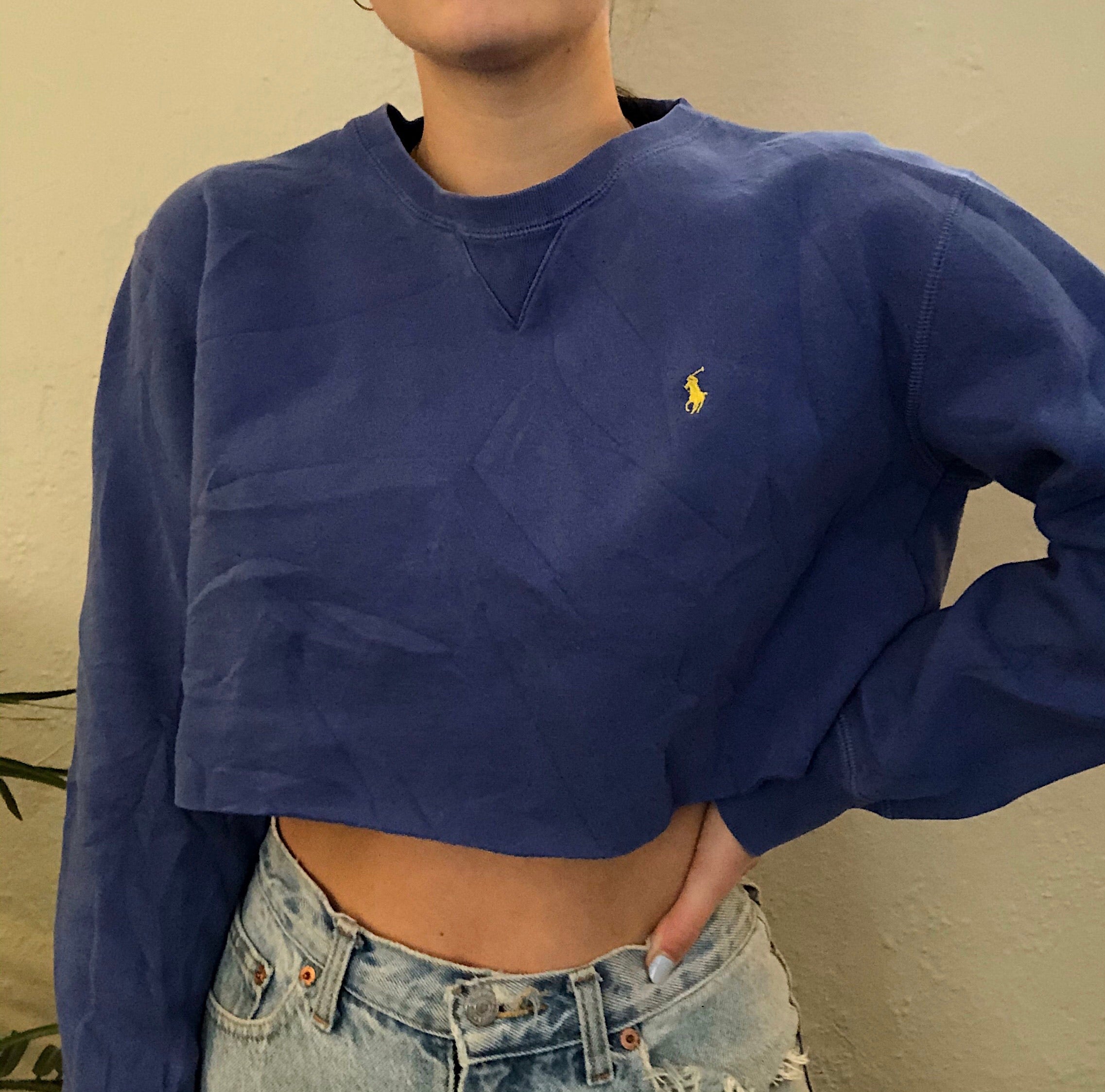 Cropped Polo Crewneck