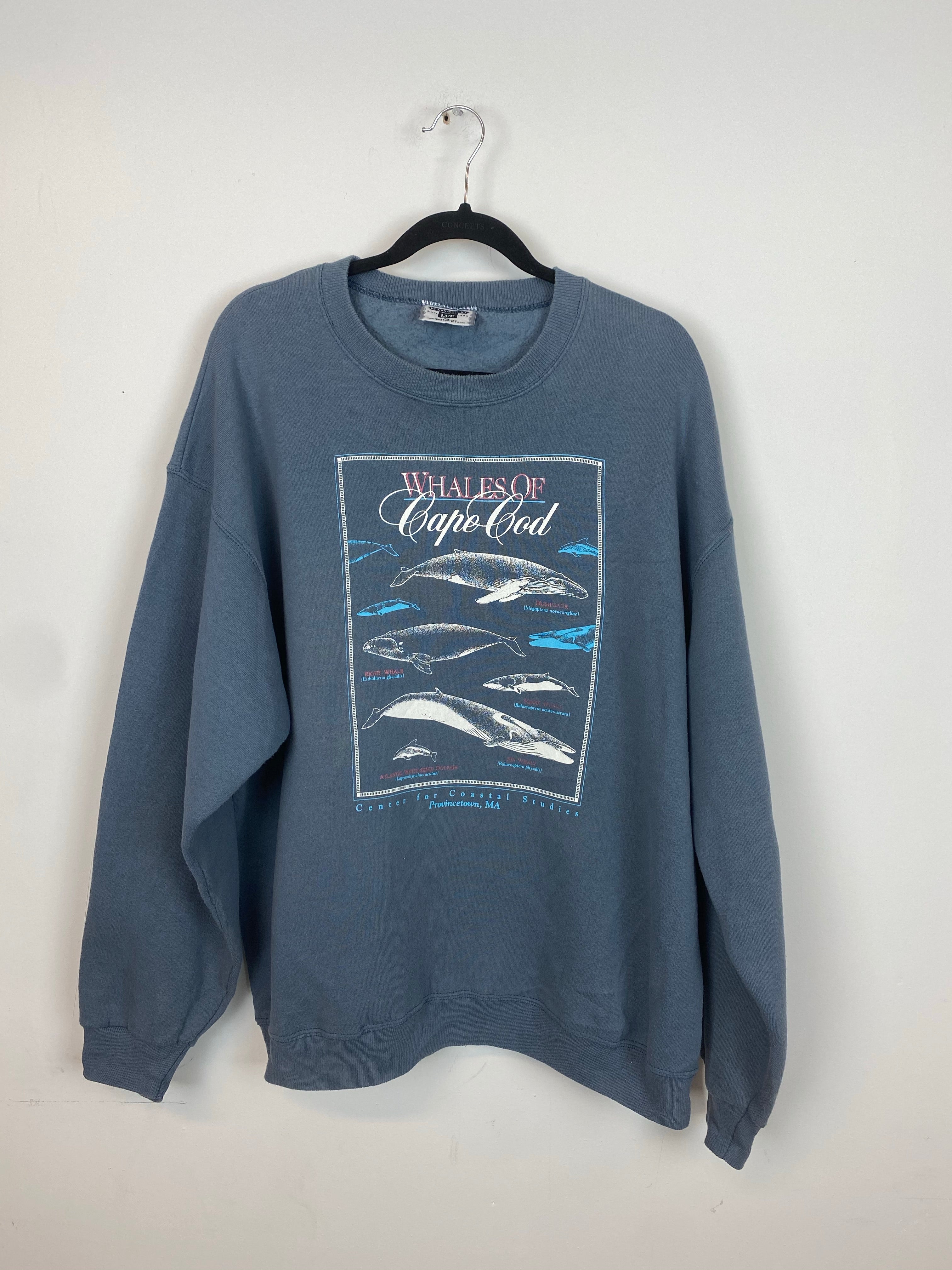Vintage Wales of Cape Cod crewneck - L