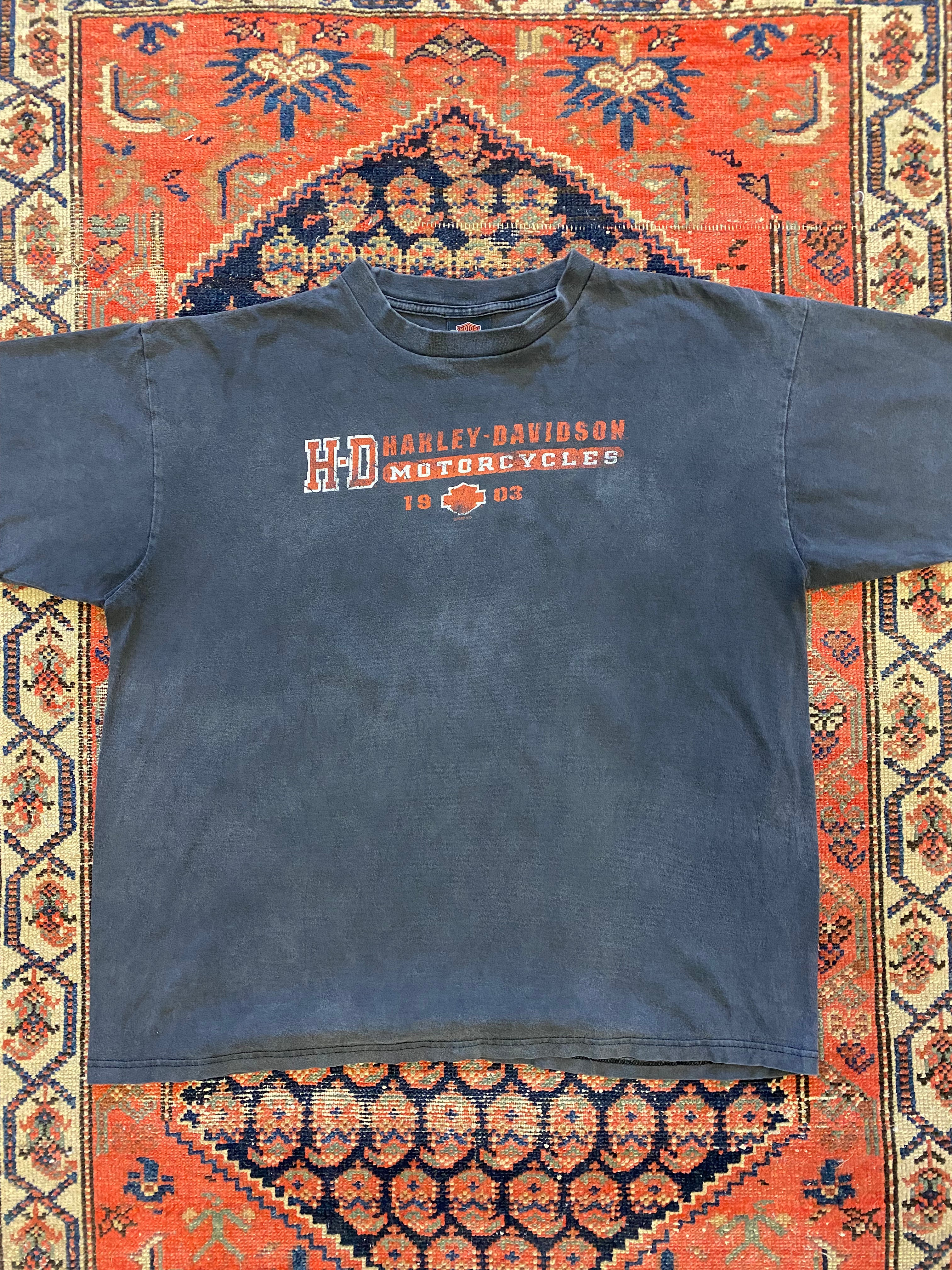 Vintage Harley Davidson t shirt - Large