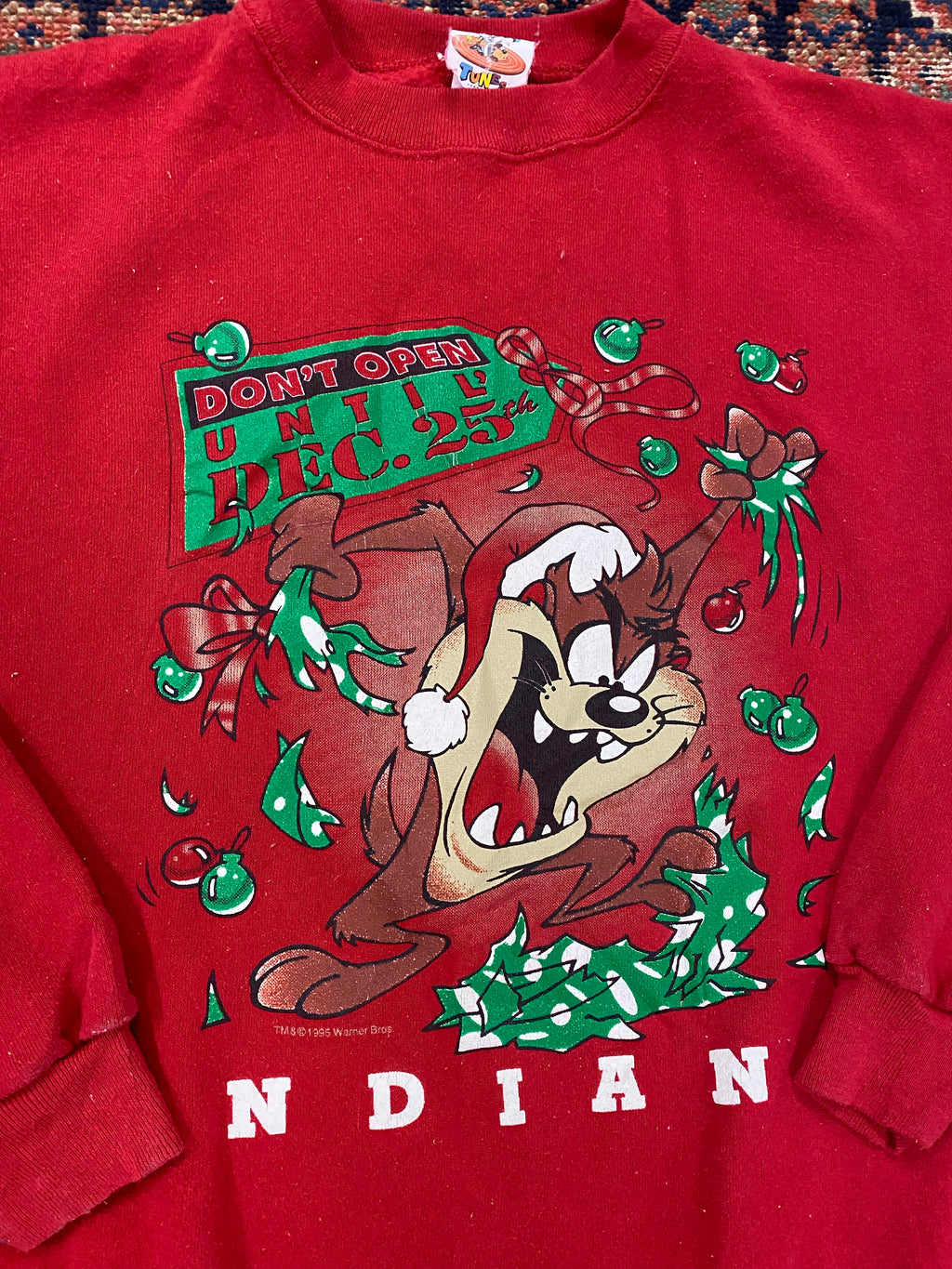 1995 Taz Indiana Crewneck - L