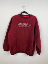 Load image into Gallery viewer, Embroidered Wisconsin crewneck