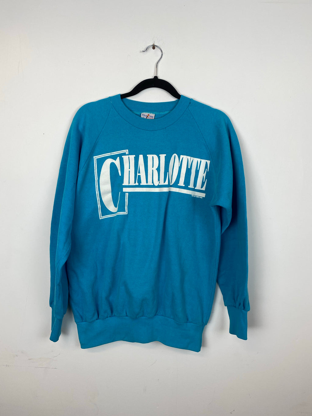 90s baby blue Charlotte crewneck