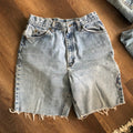 LL Bean High Waisted Shorts