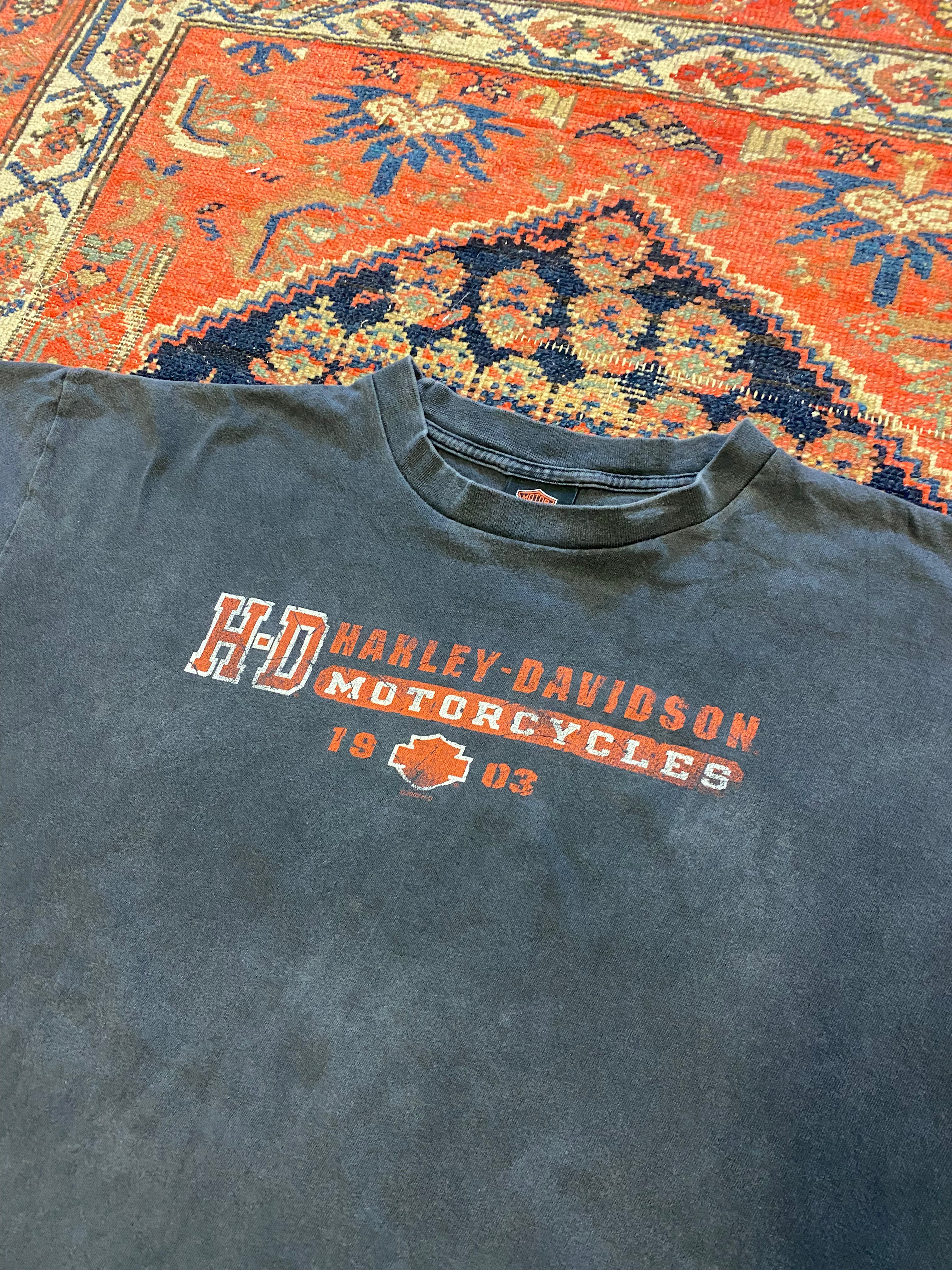 Vintage Harley Davidson t shirt - Large