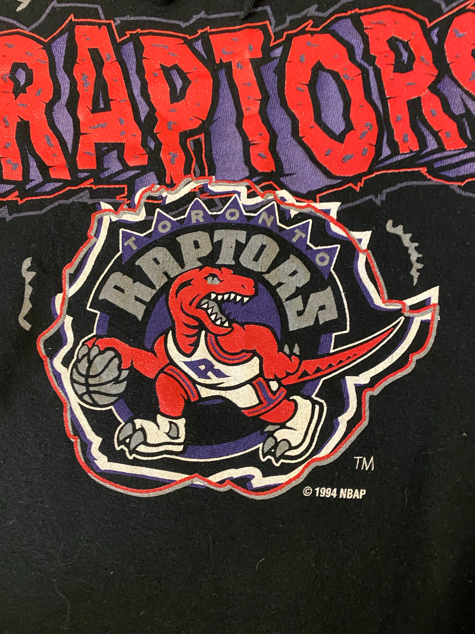 Logo 7 1994 Toronto Raptors Hoodie Vintage Nba