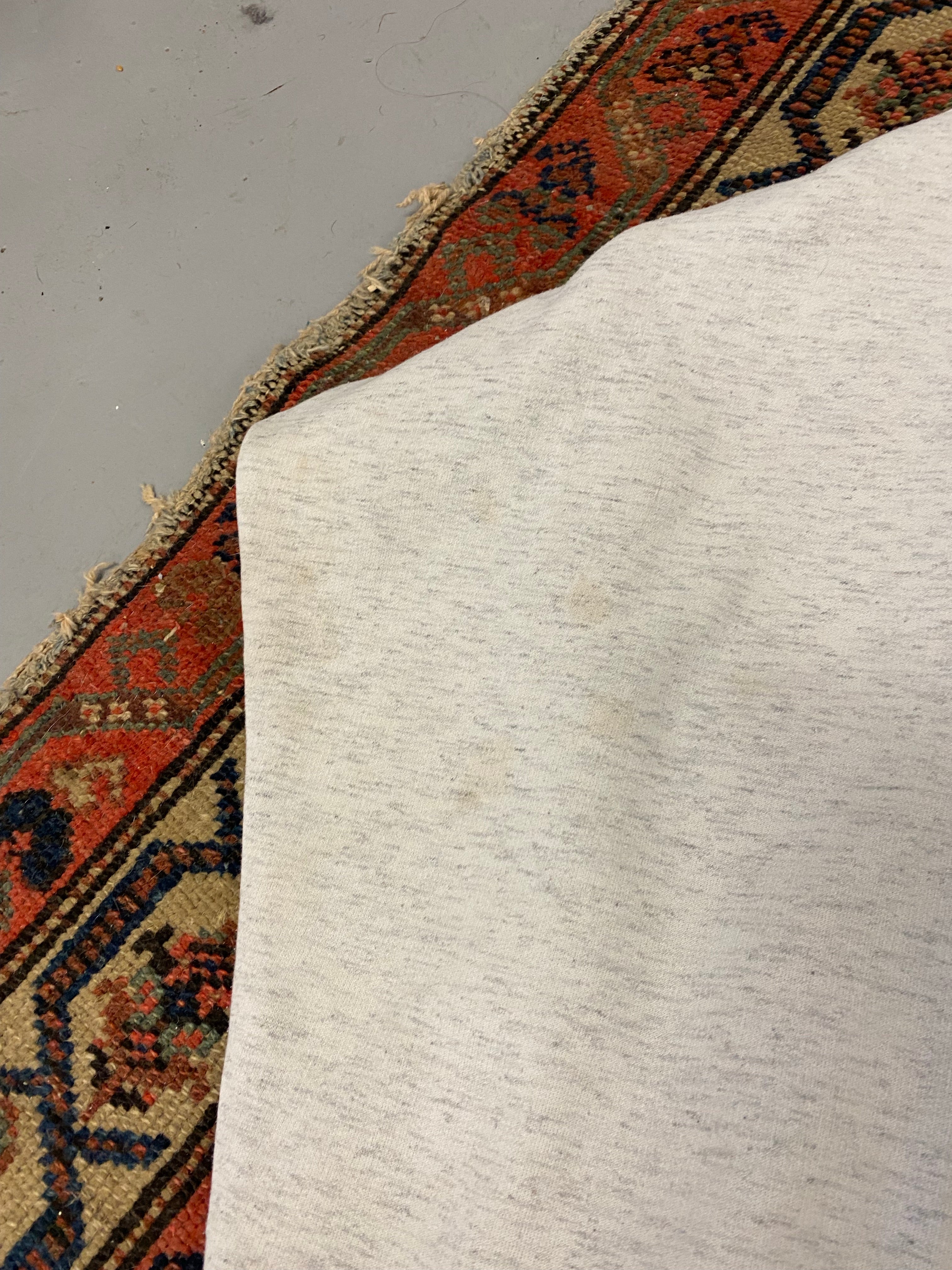 90s Ontario Wildlife Crewneck - L