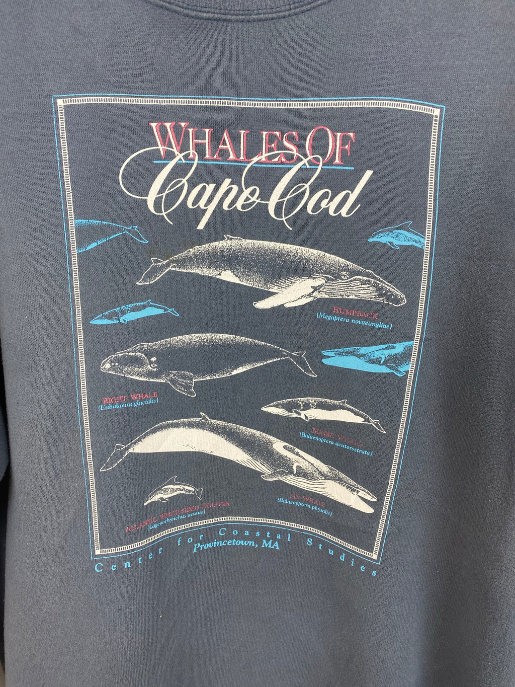 Vintage Wales of Cape Cod crewneck - L