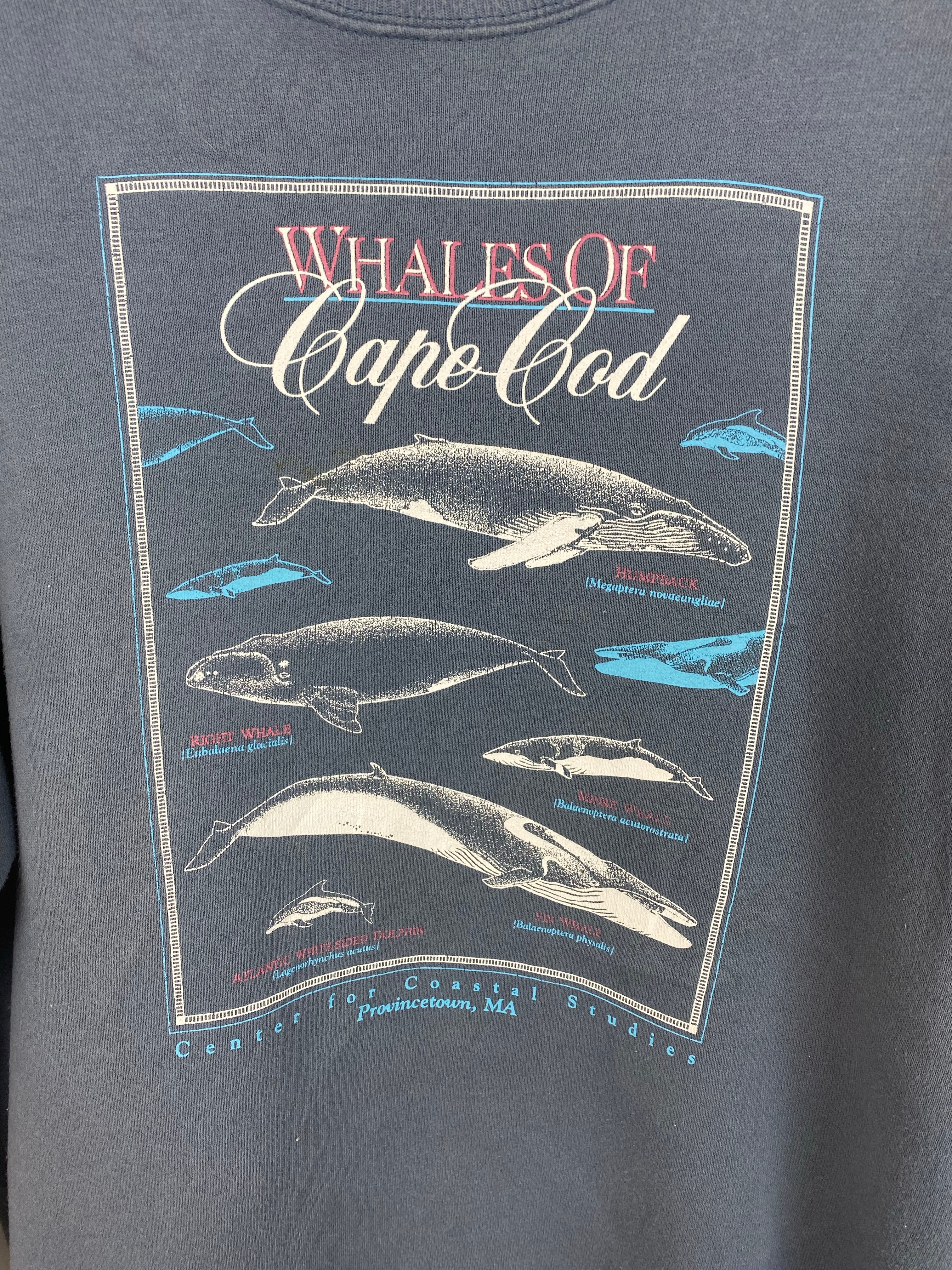 Vintage Wales of Cape Cod crewneck - L