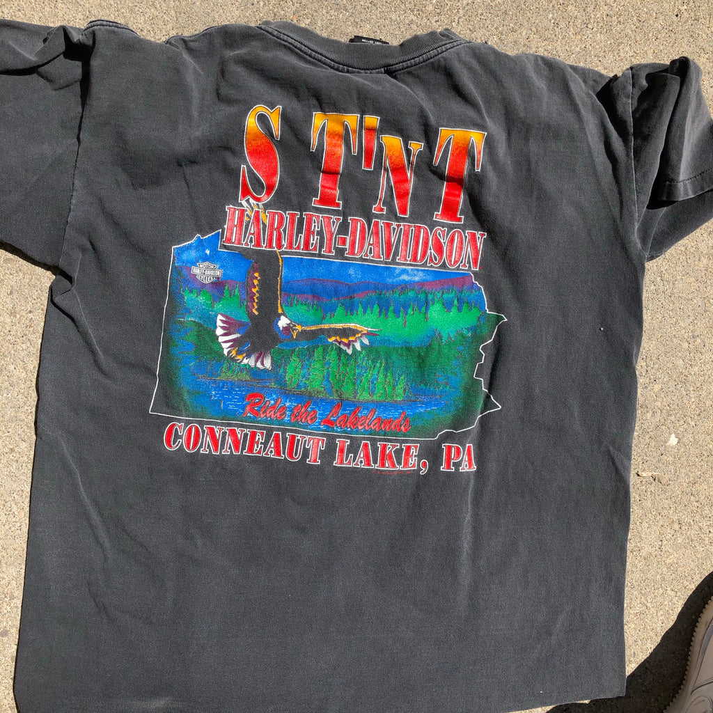 Vintage Harley T