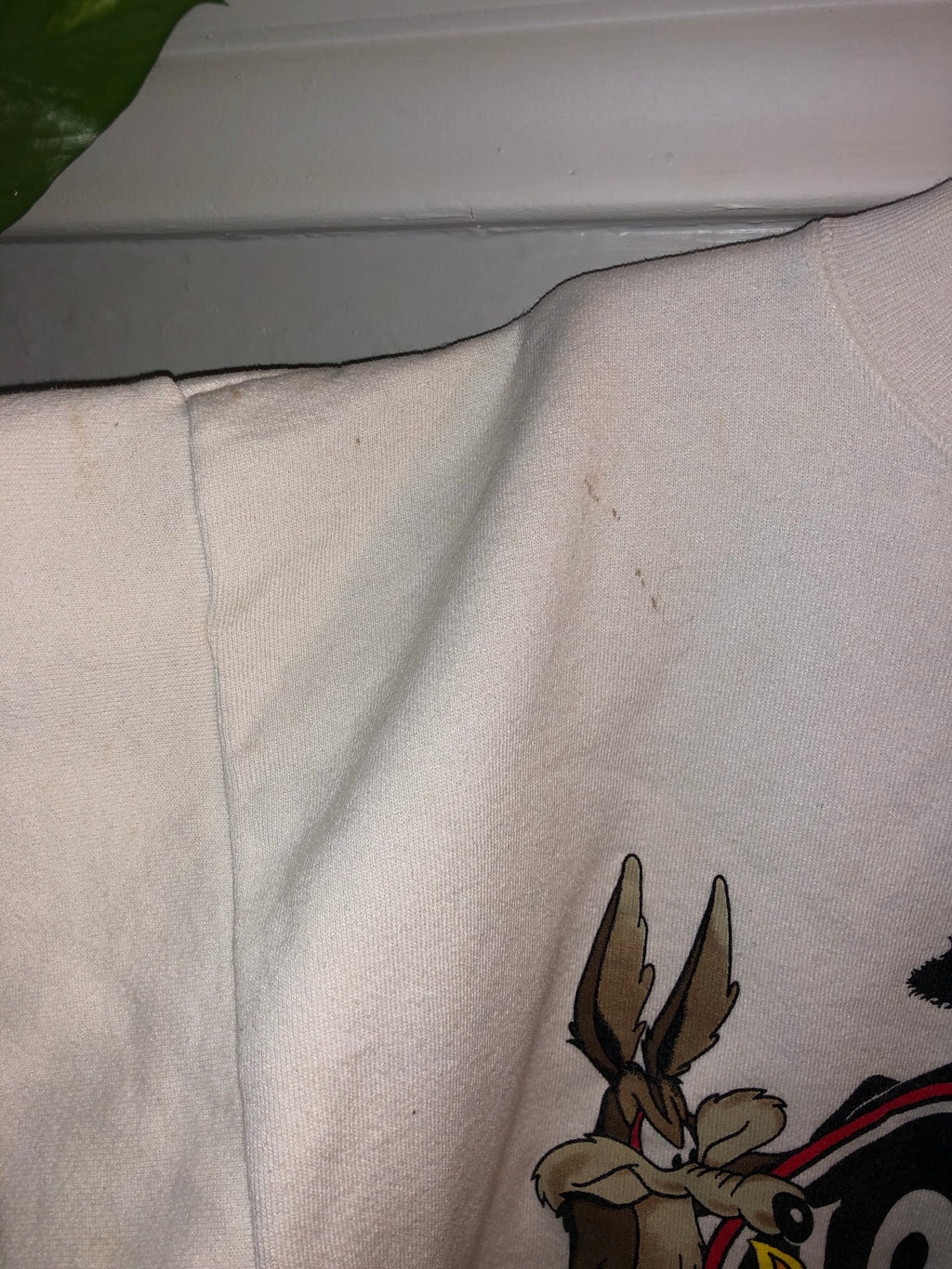 Vintage Crewneck
