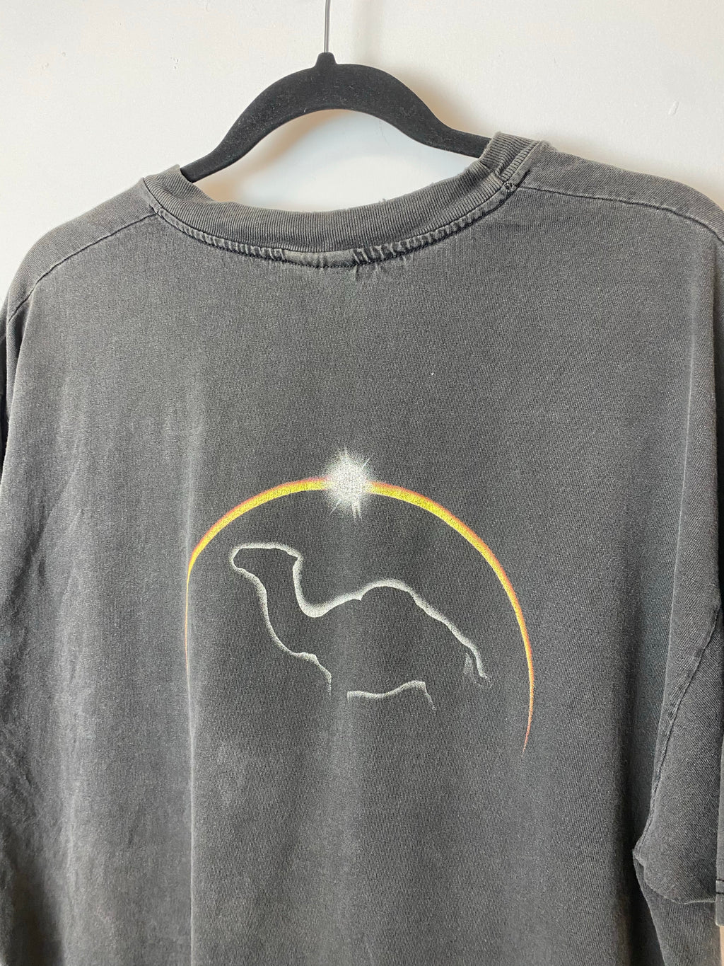 Vintage Faded Front And Camel T Shirt - L