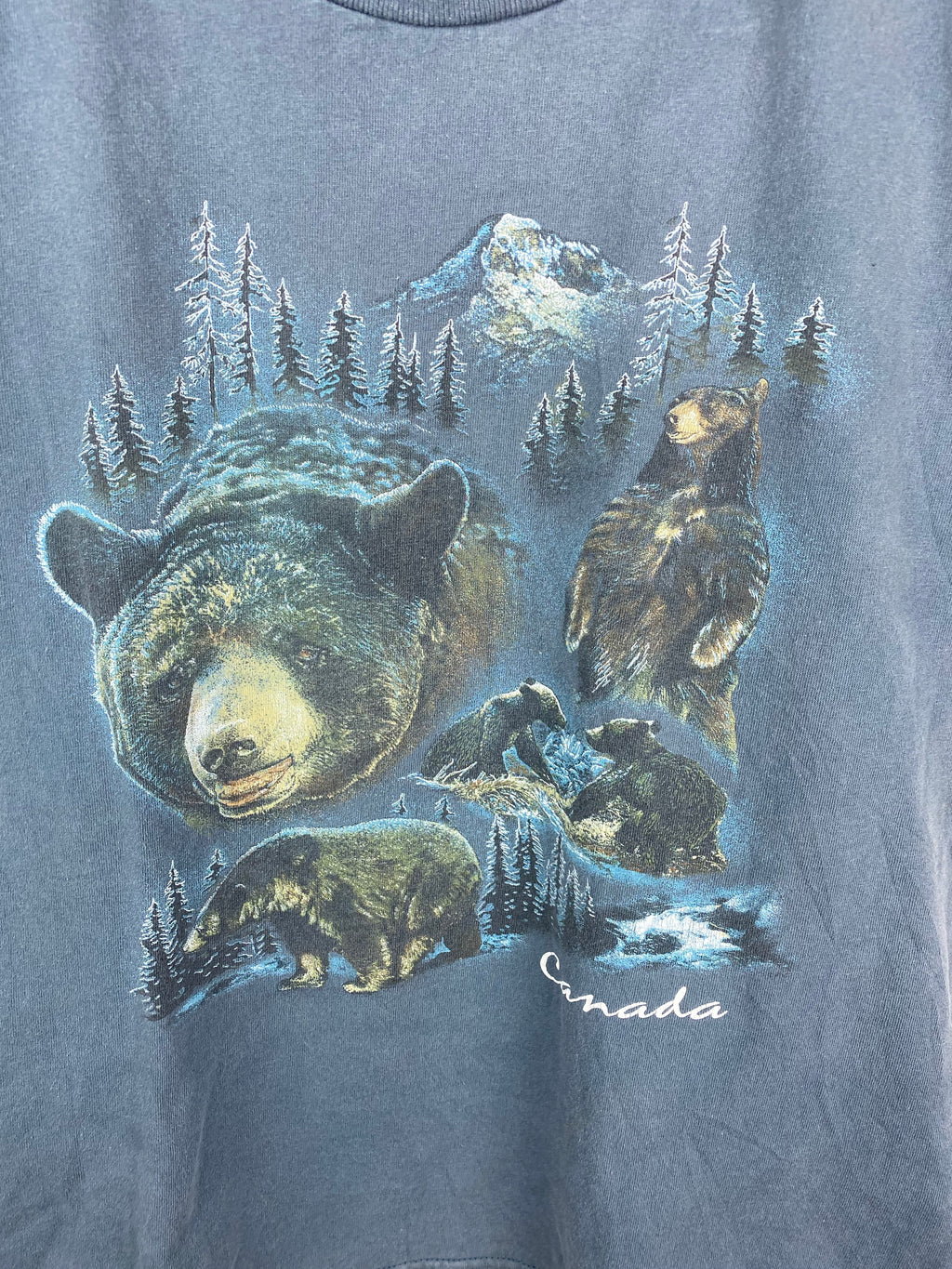 Small bear t shirt